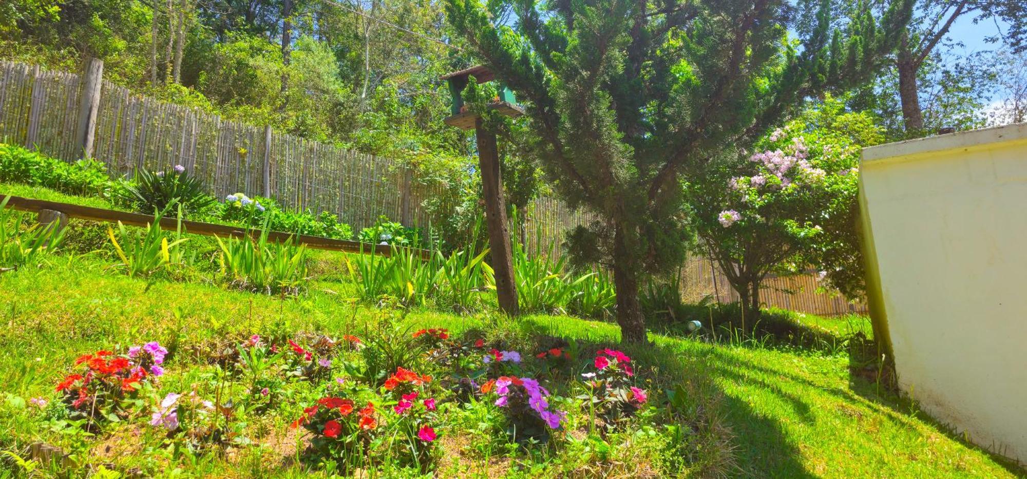 Cores E Flores Da Serra Pousada By Concavus Santo Antônio do Pinhal Zewnętrze zdjęcie